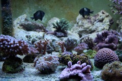 Killikus&reg; Fotographie